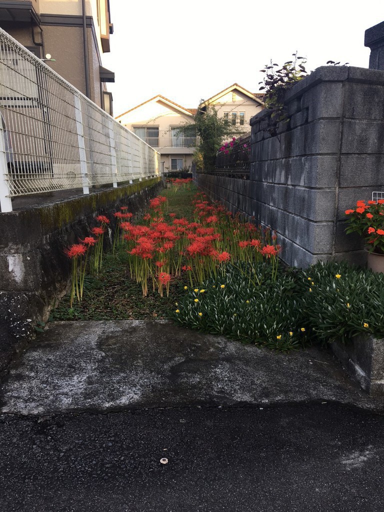 今週テーマ：「自律！」＆  日記　お彼岸も過ぎ下期ｽﾀｰﾄ！