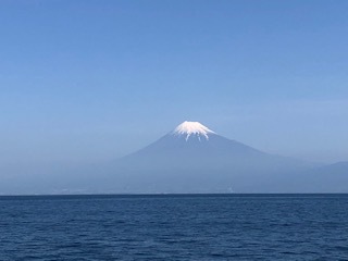 駿河湾フェリーで静岡へ行ってきました！