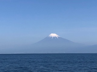 駿河湾フェリーで静岡へ行ってきました！