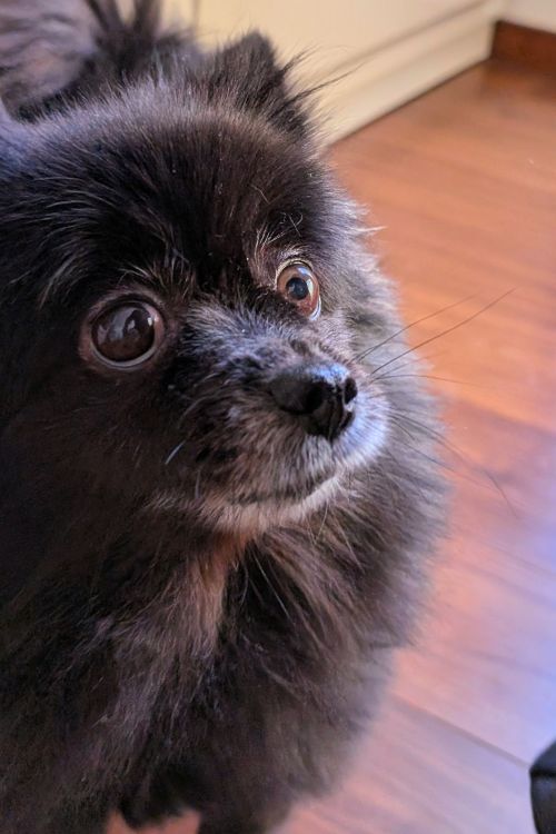 こっちゃん日記