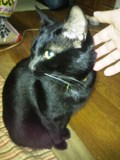 2011021707310000.jpg