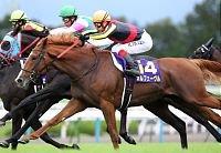 オルフェーヴル３冠！池添「まだまだ強くなる」菊花賞：競馬：スポーツ報知.jpg