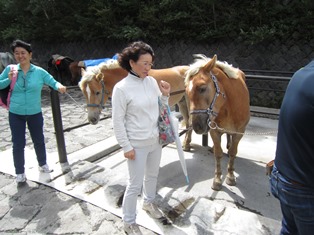 富士山　馬